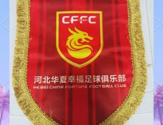 乐鱼app-江苏苏宁主场不敌河北华夏幸福，遭遇失利