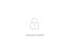 乐鱼体育-里昂主场战平，保持不败纪录的简单介绍