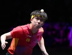 乐鱼-100T翻盘德国乒乓球队，许昕打破历史纪录焦点之战半决赛，强势挺进下一轮的简单介绍