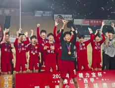 乐鱼官网-水原三星击败浦项制铁，取得胜利的简单介绍