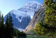 乐鱼 vip 注册-美国力克日本，法比尼奥带队取胜的简单介绍